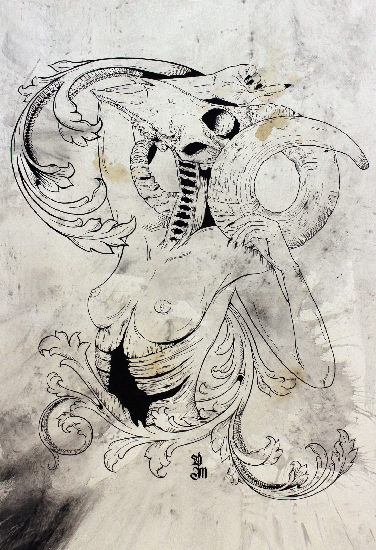 Ramskull Goddess - 13" x 19"